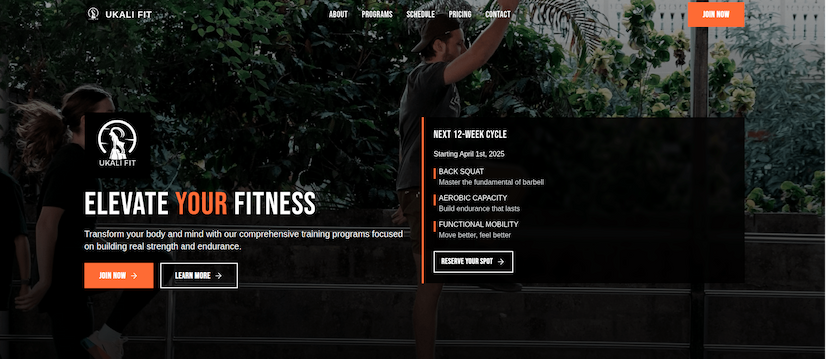 Project screenshot